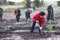 Brown Thomas Arnotts - Planting Native Trees 