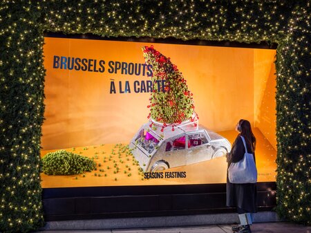 Christmas Windows at Selfridges